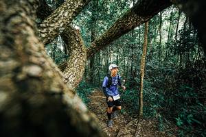 BIB: 
                            <button type="button" onclick="openModal(25394377)" class="btn btn-primary btn-sm float-right btn-popup" data-toggle="modal" data-target=".modal-high-quality">
                        <i class="fas fa-shopping-cart"></i> Add to Cart
                    </button>
                                            <button type="button" onclick="isThisMe(25394377, true)" class="btn btn-success btn-sm float-right btn-popup btn-isme hidden" data-toggle="tooltip" data-placement="bottom" title="นี่คือรูปของคุณใช่ไหม คลิกที่นี่เพื่อเอาเข้าอัลบั้ม">
                        <i class="fas fa-plus"></i> Add to album
                    </button>
                    <button type="button" onclick="isThisMe(25394377, false)" class="btn btn-warning btn-sm float-right btn-popup btn-isnotme hidden">
                        <i class="fas fa-ban"></i> Remove from album
                    </button>